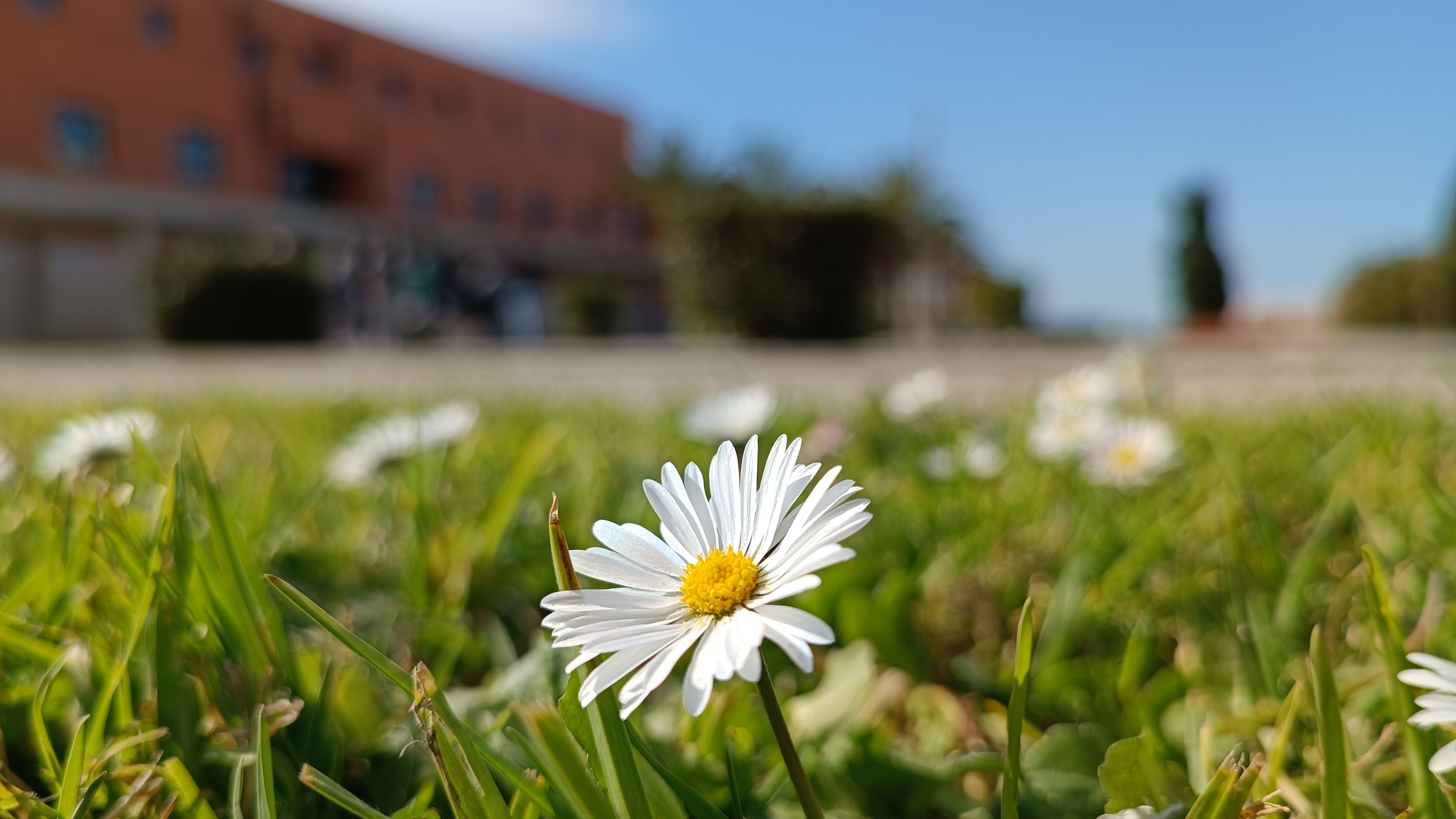 Pesquisar Sbidm Universidade De Aveiro