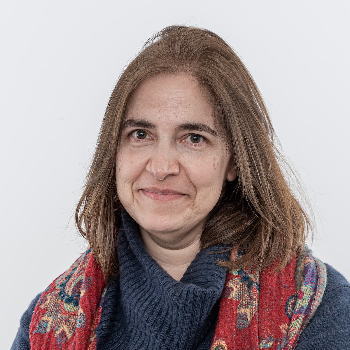 Gabriela Moura Ibimed Universidade De Aveiro