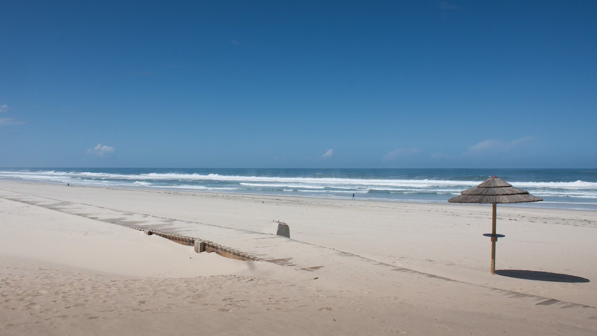 Aquatico, a resposta está no fundo do mar