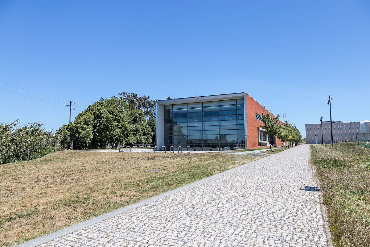 Free Course: ApPT-UA — aprender português com a UA from Universidade de  Aveiro